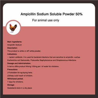 Poudre soluble d'ampicilline sodique 50 %